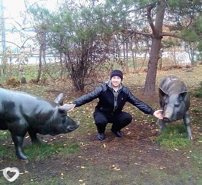 Игорь, Чаусы