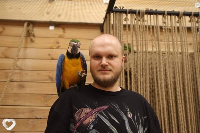 Александр, 33, Светлогорске — анкета №2385913