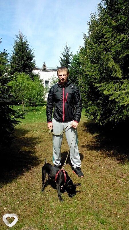 Даниил, Конин