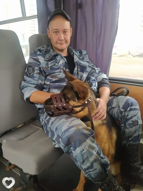Олег, 34, Новосибирске — анкета №2386511