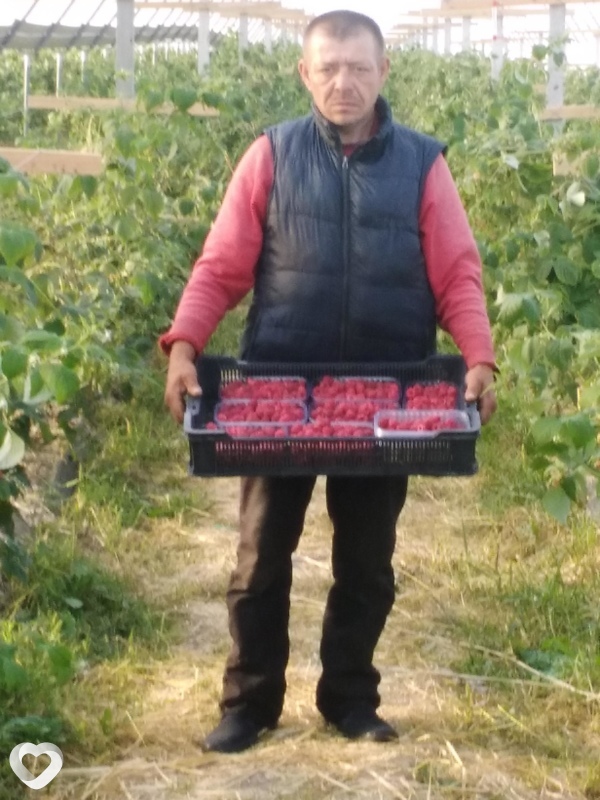 Дима, Лебедин