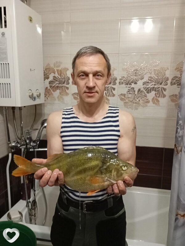 Дмитрий, 51, Челябинске — анкета №2394830