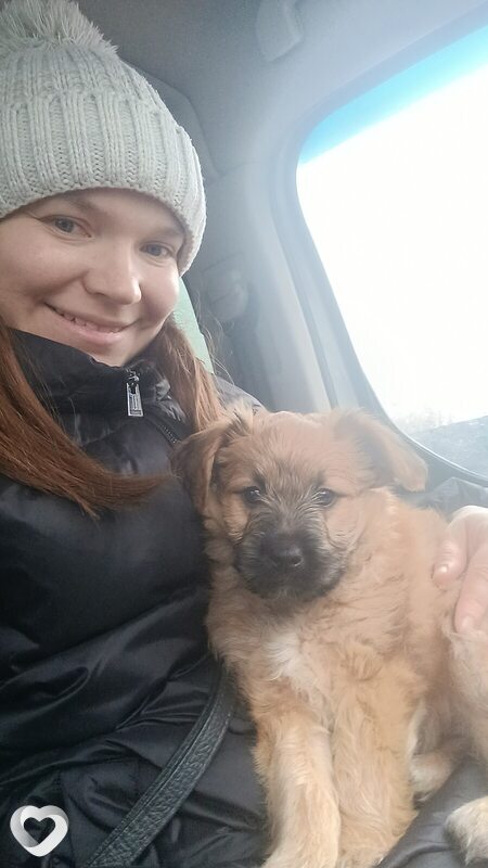 Анжела, 36, Луганске — анкета №2396260