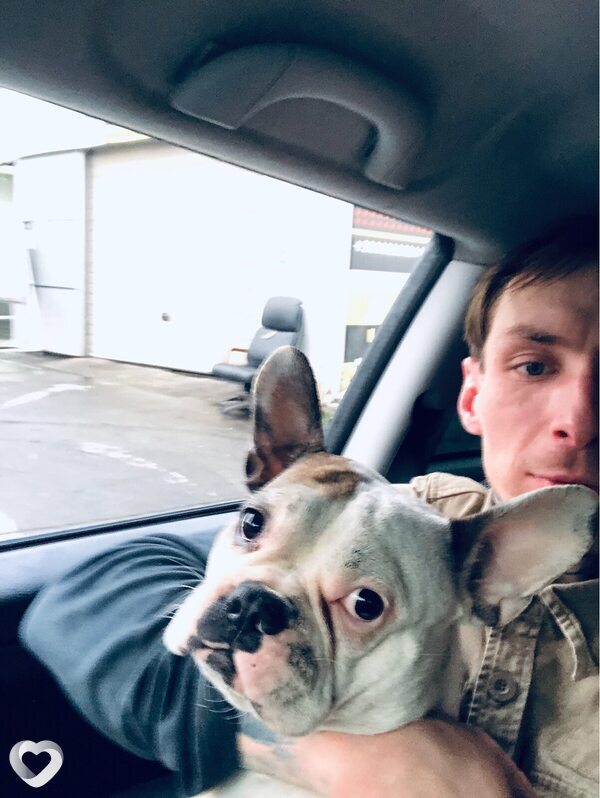 Dexter, 33, Киеве — анкета №2402081