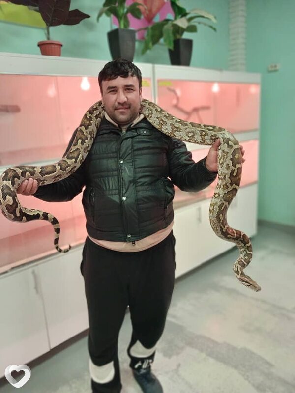 Дима, 35, Балашихе — анкета №2405735