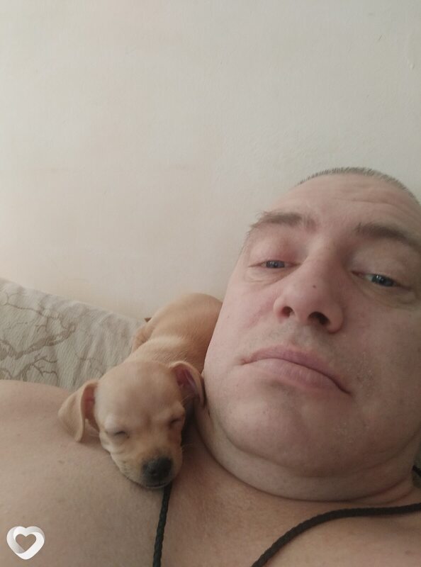 Дмитрий, 46, Новочеркасске — анкета №2409809