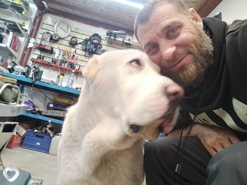 Владимир, 41, Астане — анкета №2411859