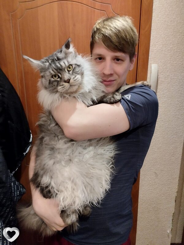 Никита, 34, Тольятти — анкета №2417458