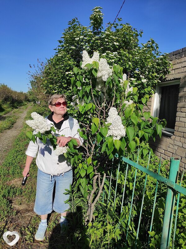 Надежда, 57, Челябинске — анкета №2418729