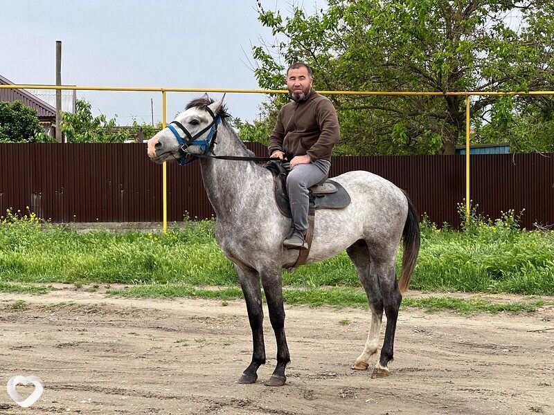 Раф, 41, Ставрополе — анкета №2422748