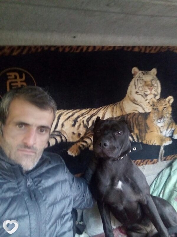 Vagram, 43, Ереван — анкета №2429062