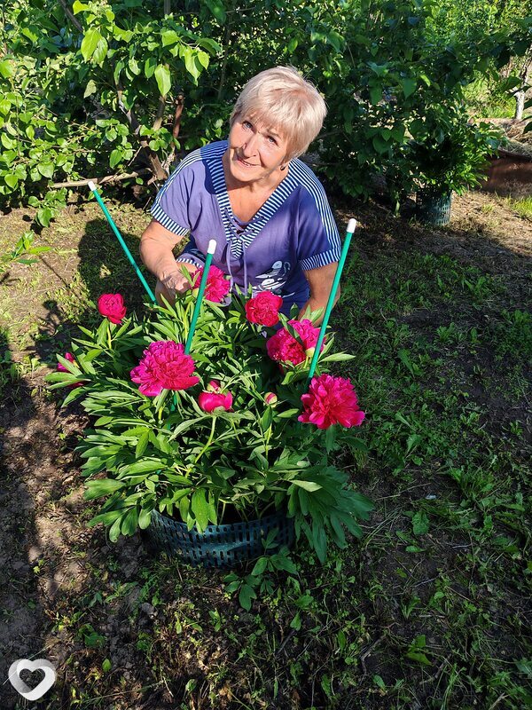 Светлана, 64, Ачинске — анкета №2429938
