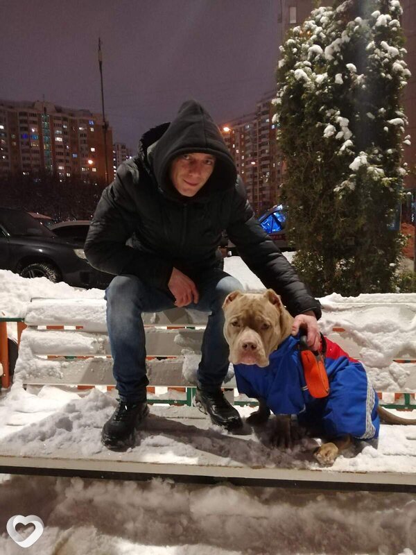 Николай, 37, Кашире — анкета №2437431