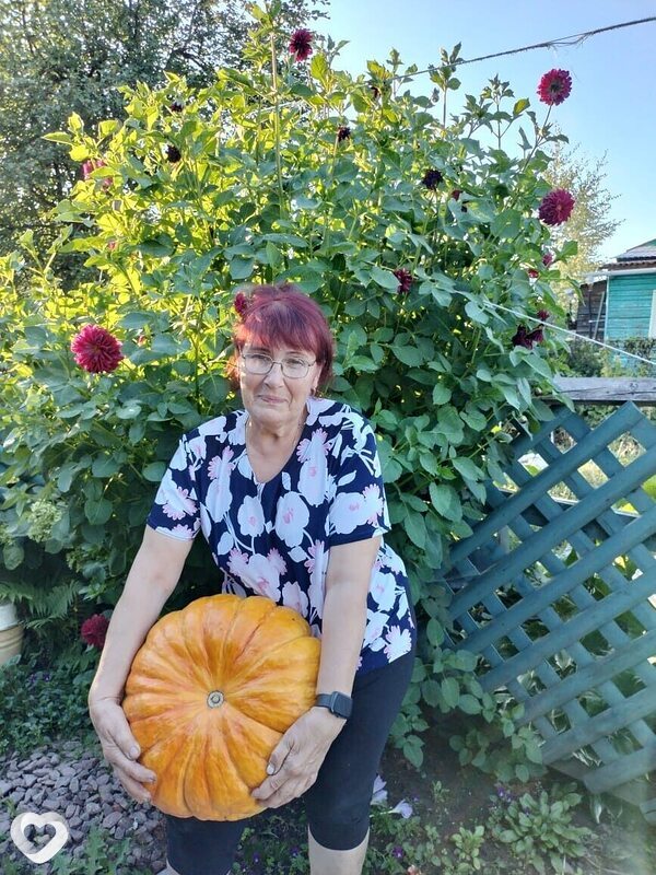 Елена, 65, Ярославле — анкета №2437809