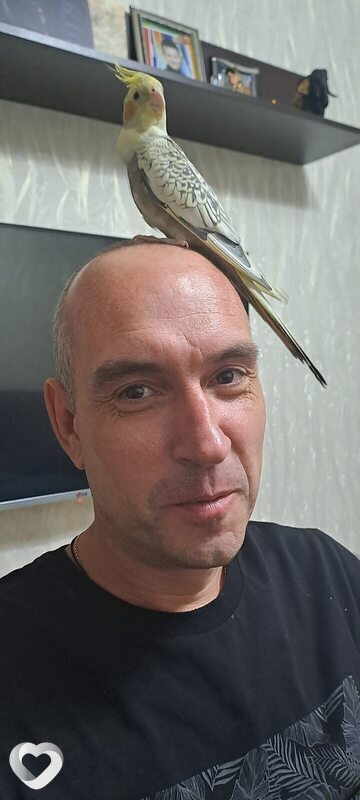 Роман, 44, Саратове — анкета №2439503