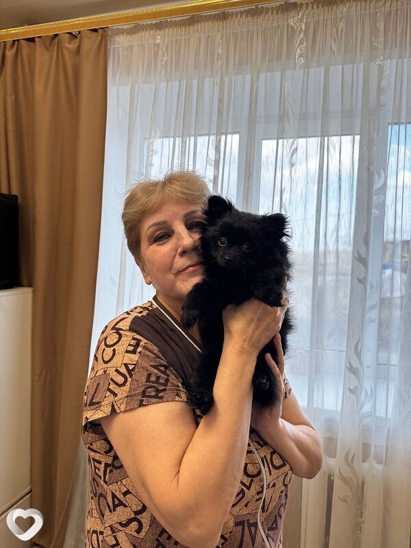 Светлана, 56, Владимире — анкета №2442131