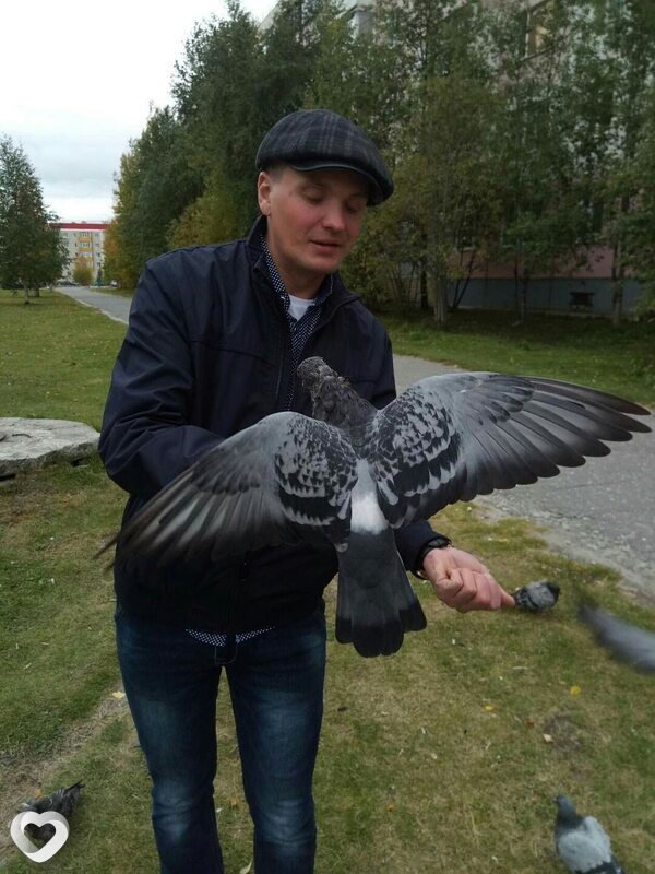 Дмитрий, 43, Новом Уренгое — анкета №2443648