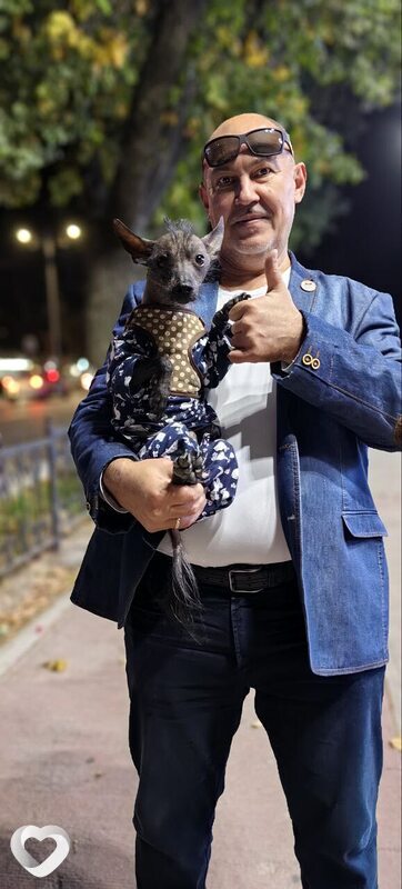 Александр, 46, Ташкент — анкета №2448891
