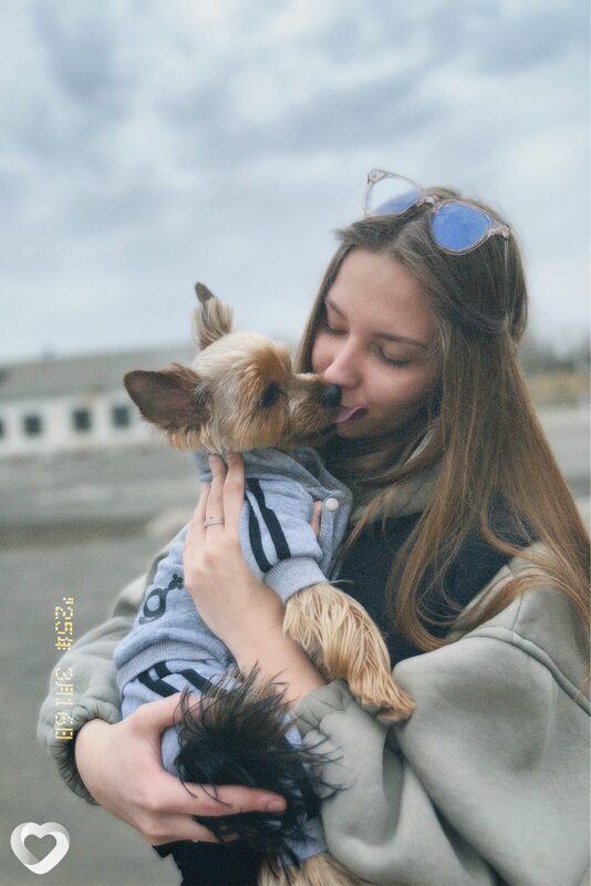 Софа, Харцызск