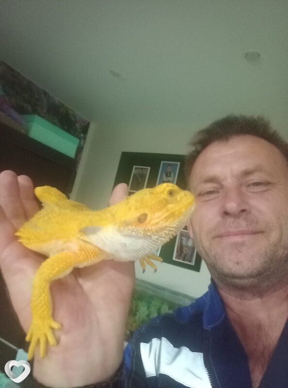 Дмитрий, 46, Самаре — анкета №2453563