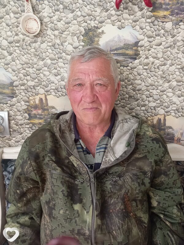 Геннадий, 70, Березовский (Кемеровская обл) — анкета №2453740