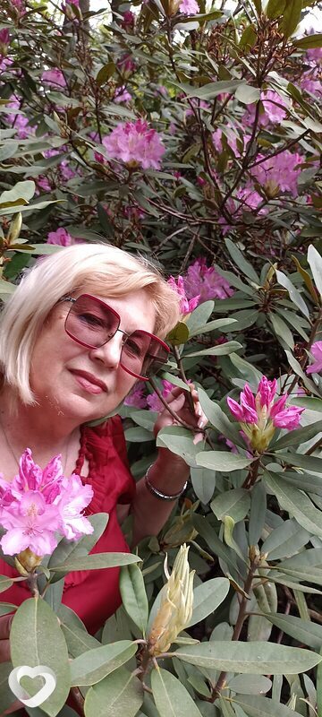 Ольга, 65, Минске — анкета №2455374