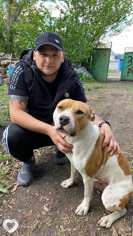 Руслан, 29, Каменске-Шахтинском — анкета №2455629
