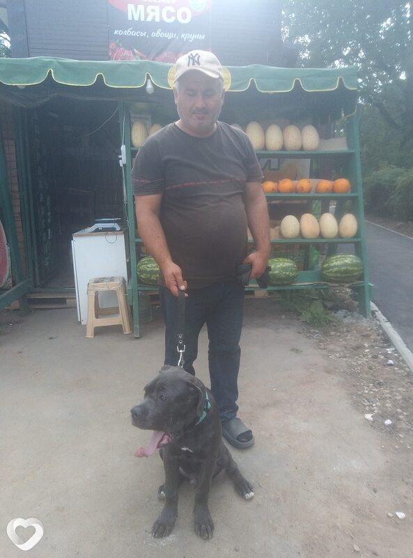 Сулиман, 46, Ивантеевке — анкета №2462023