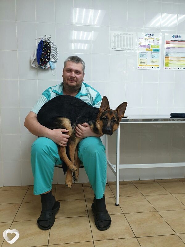 Юрий, 42, Челябинске — анкета №2462748