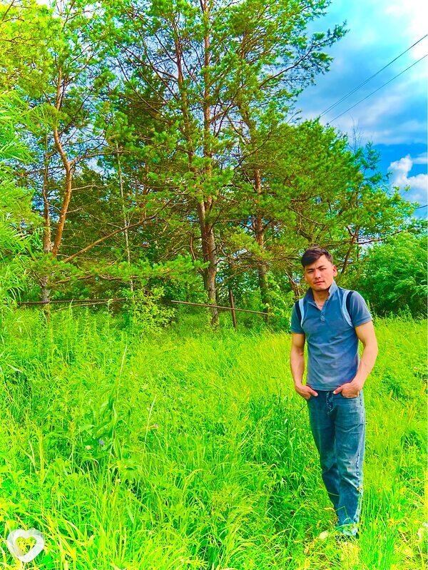 Salix, Свободный
