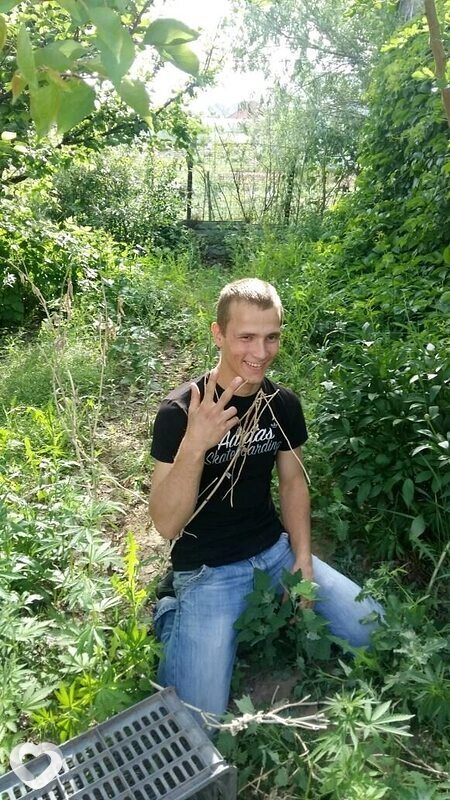 Владимир, 31, Пушкино (Московская Обл) — анкета №2482462