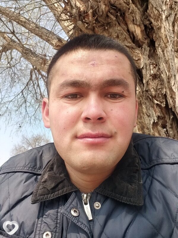 Shah, Худжанд