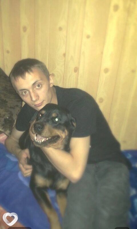 Денис, 34, Новом Осколе — анкета №2487342
