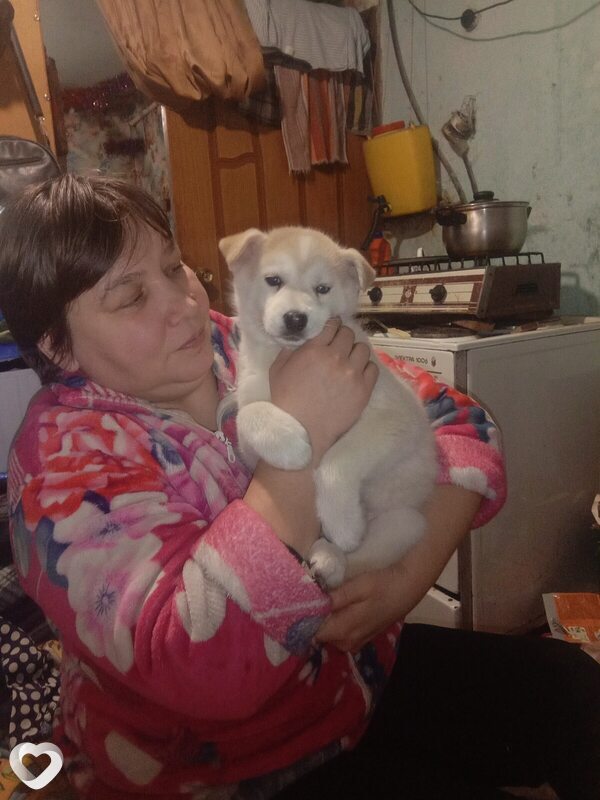 Марина, 44, Щекине — анкета №2487520