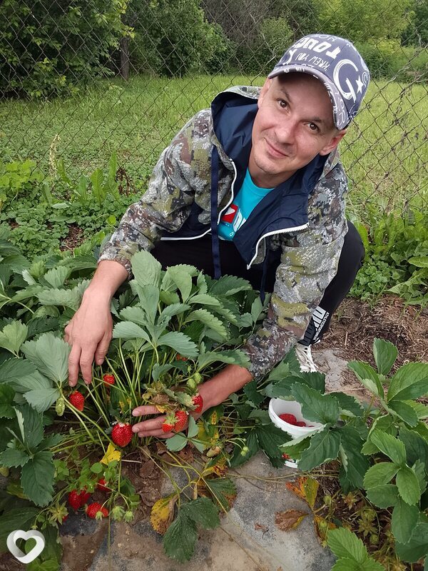 Максим, Городец