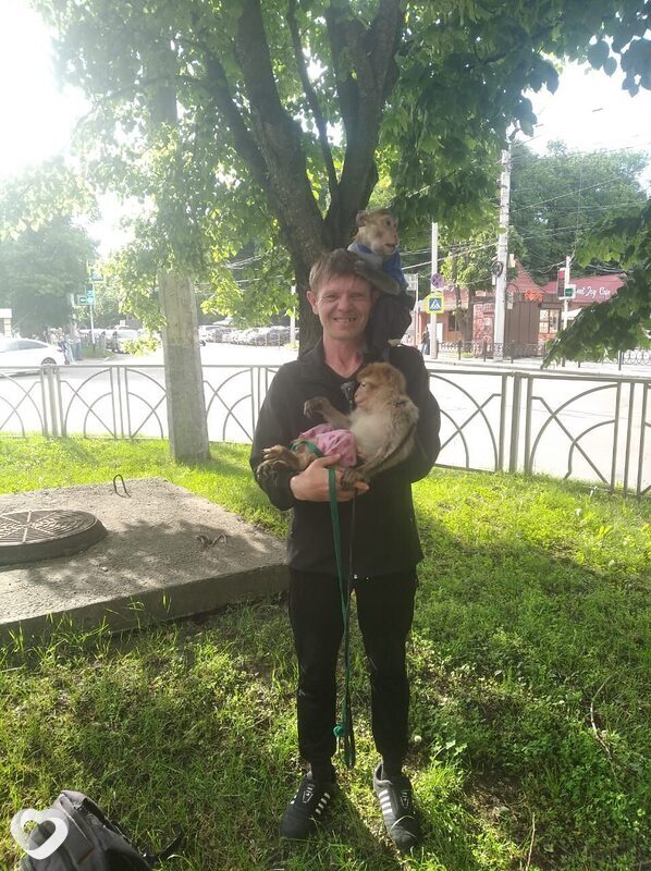 Алексей, 43, Ставрополе — анкета №2487813
