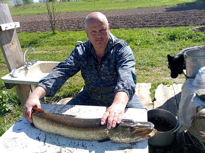 Сергей, 48, Пскове — анкета №2490198