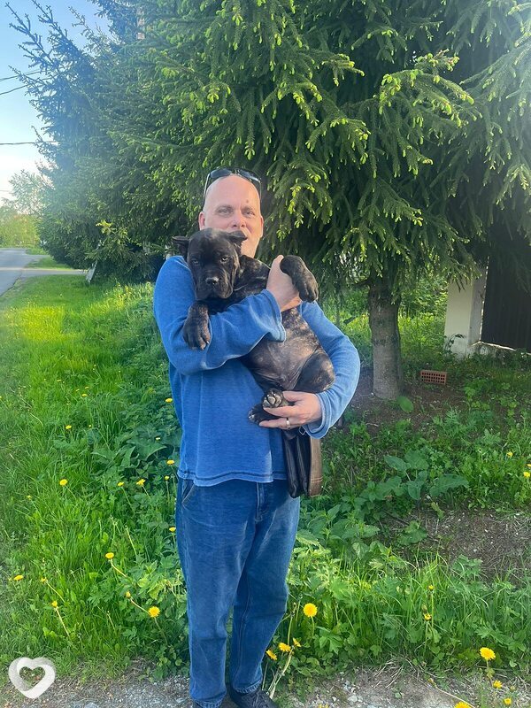 Александр, 56, Ступине — анкета №2494348