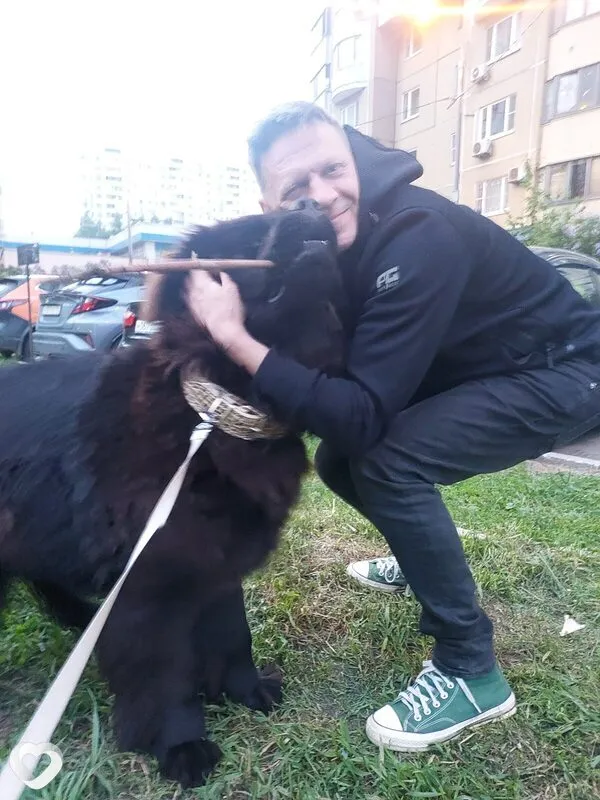 Валерий, 56, Москве — анкета №2505200
