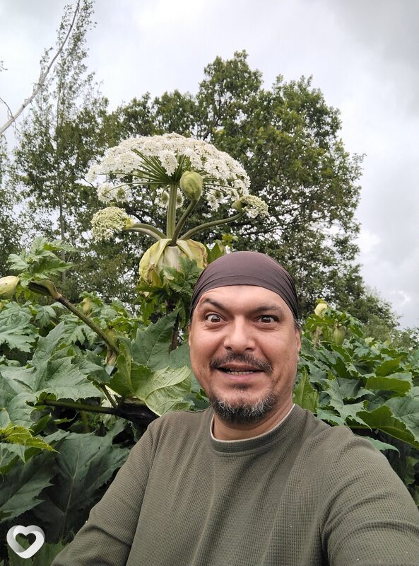 Денис, 45, Иванове — анкета №2684254