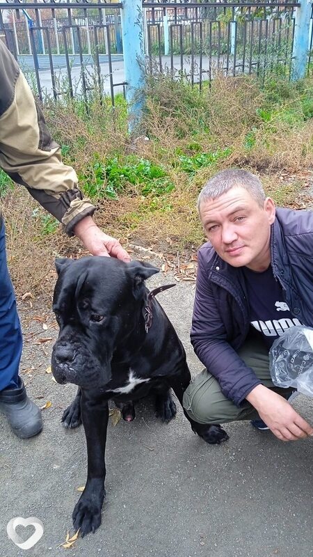 Дмитрий, 40, Челябинске — анкета №2509833
