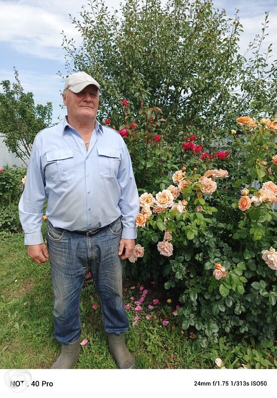 Владимир, 61, Воронеже — анкета №2510400