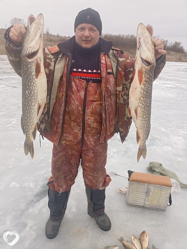 Дмитрий, 51, Орёл — анкета №2511538
