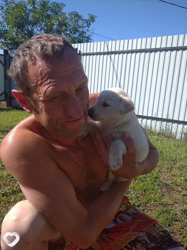 Владимир, 54, Уфе — анкета №2512133