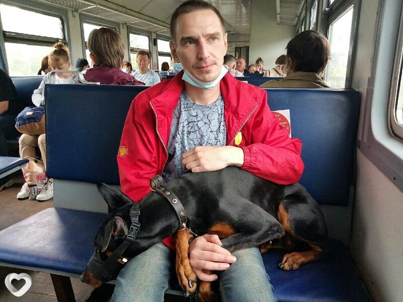 Александр, 42, Вологде — анкета №2516047