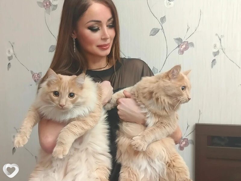 Юля, Лесной