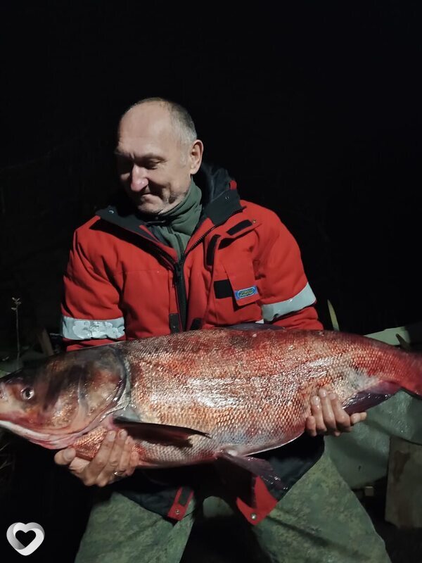 Алексей, 48, Санкт-Петербурге — анкета №2524372