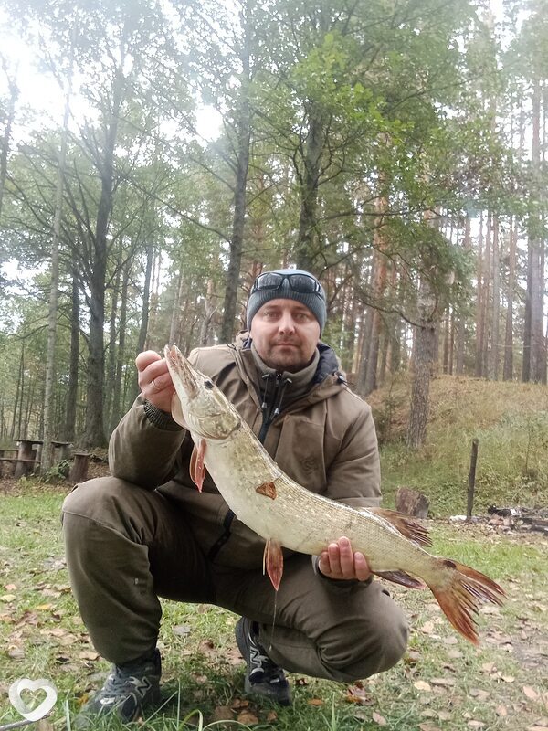 Сергей, 43, Новополоцке — анкета №2532036