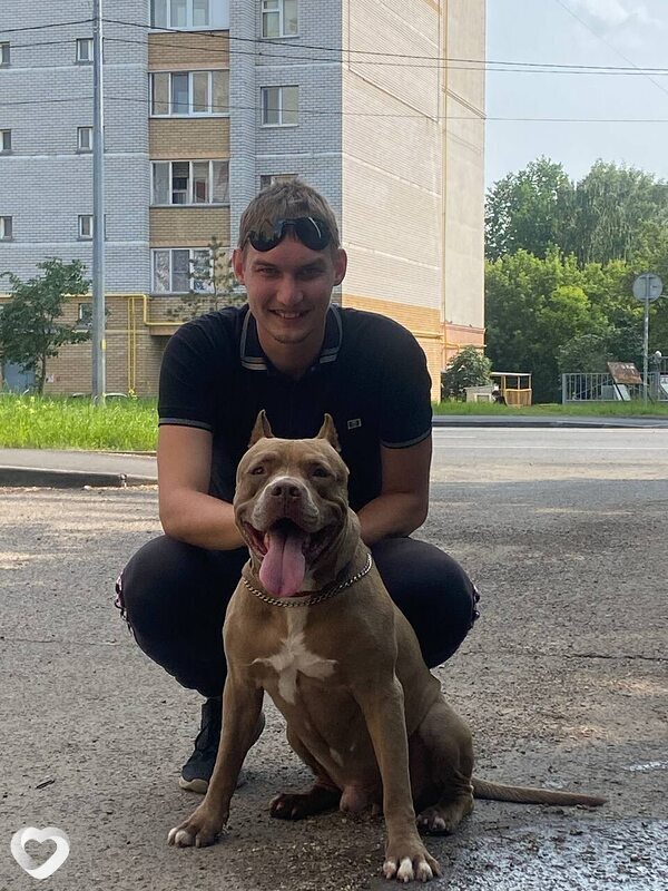 Павел, 26, Москве — анкета №2539377