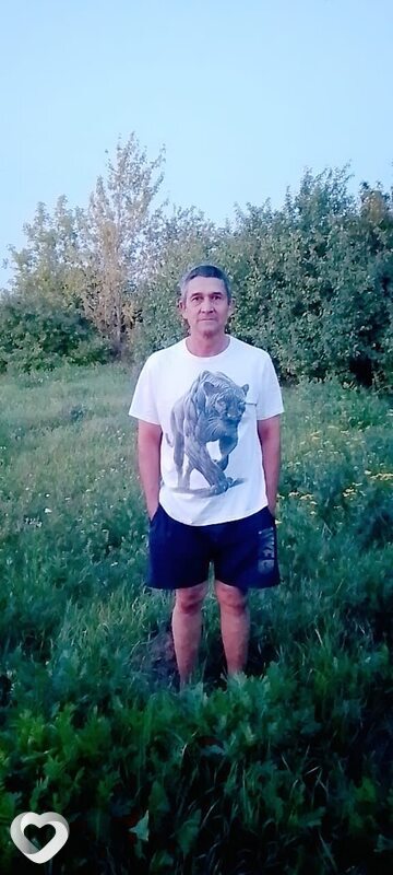Азиз, Волоконовка